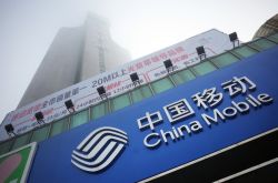 （详细教程）呼伦贝尔热线电话_哔哩哔哩-3